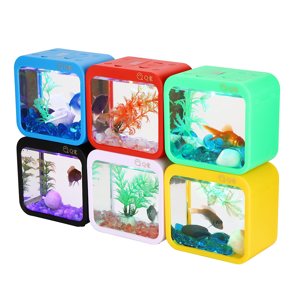 Aquarium Fish Betta - Kotak cupang kreatif penuh warna dengan