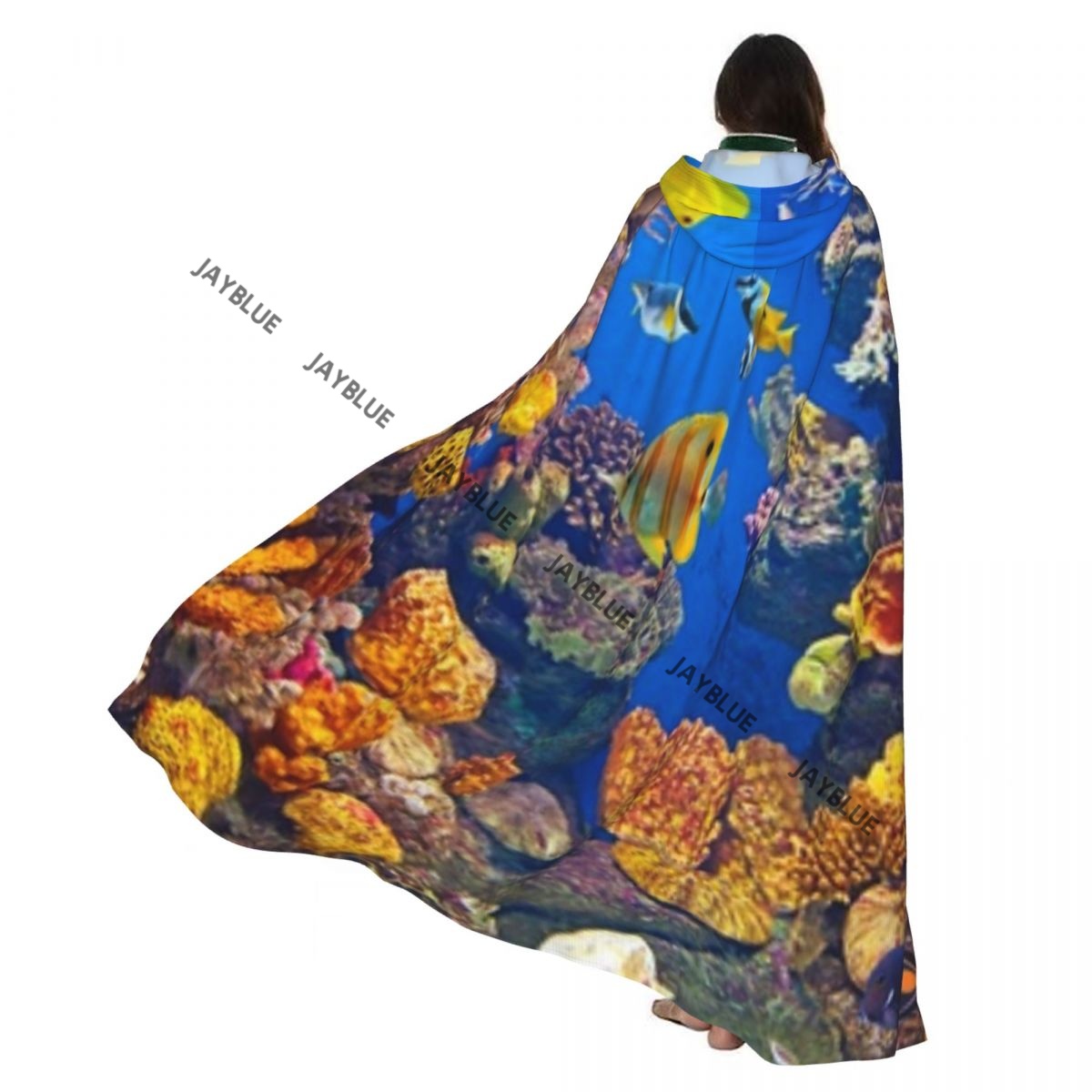 Aquarium Queen Fish - Jubah ikan warna-warni akuarium warna-warni dewasa