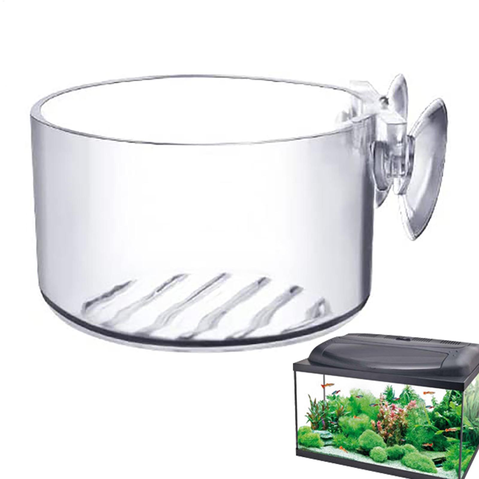 Aquarium Fish Beautiful - Pot Tanaman Hias Akuarium Akrilik, Cangkir