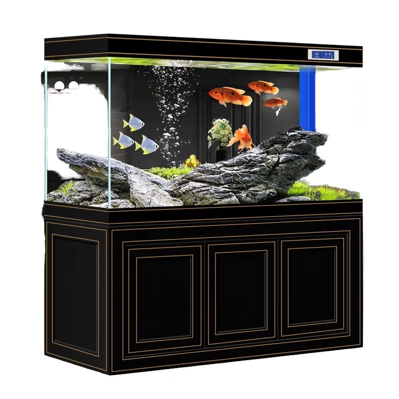 Aquarium Fish Dragon - Akuarium Ruang Tamu Rumah Kaca Super