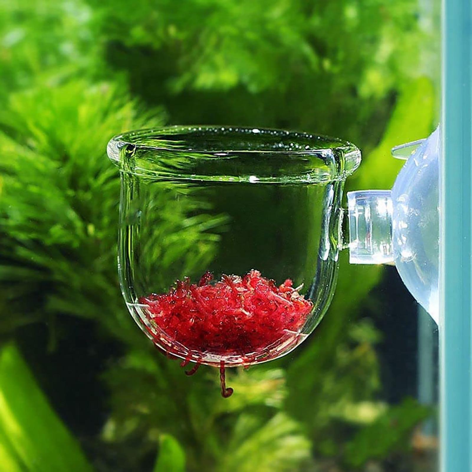 Aquarium Fish Beautiful - Penyangga Tanaman untuk Akuarium, Pot Tanaman