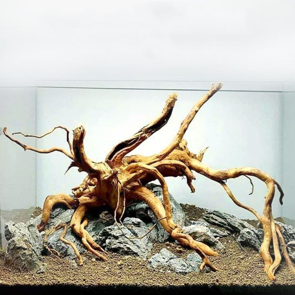 Xl Aquarium Fish - Kayu Apung Akuarium Besar 20-25CM, Dekorasi