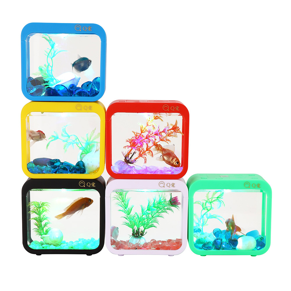 Kotak cupang kreatif penuh war - Aquarium Fish Betta ulasan dan harga