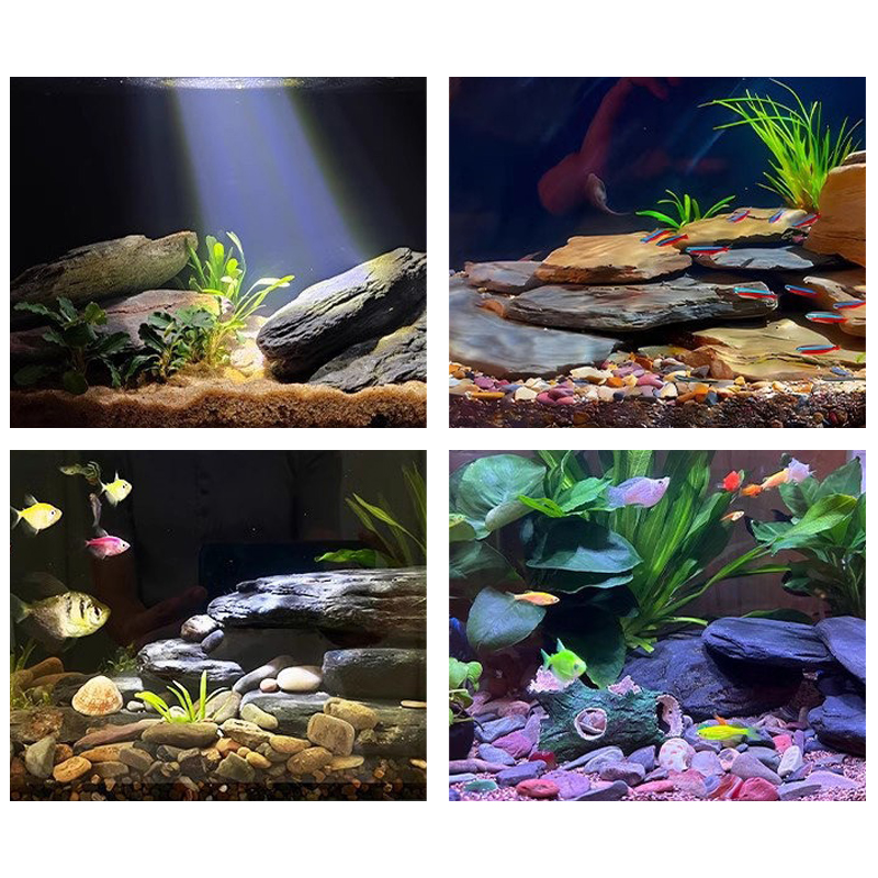 500/1000G Kit Batu Lanskap Tan - Aquarium Fish Guppy ulasan dan harga