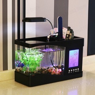 Akuarium Mini Kreatif untuk Me - Aquarium Fish Logo ulasan dan harga