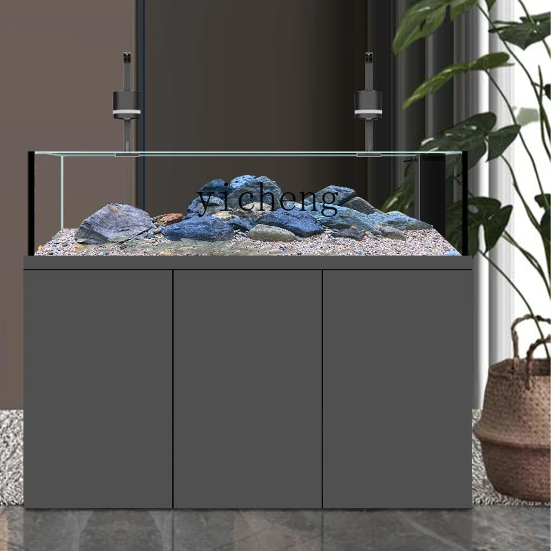 Akuarium ABB untuk ikan cichli - Wild Aquarium Fish ulasan dan harga