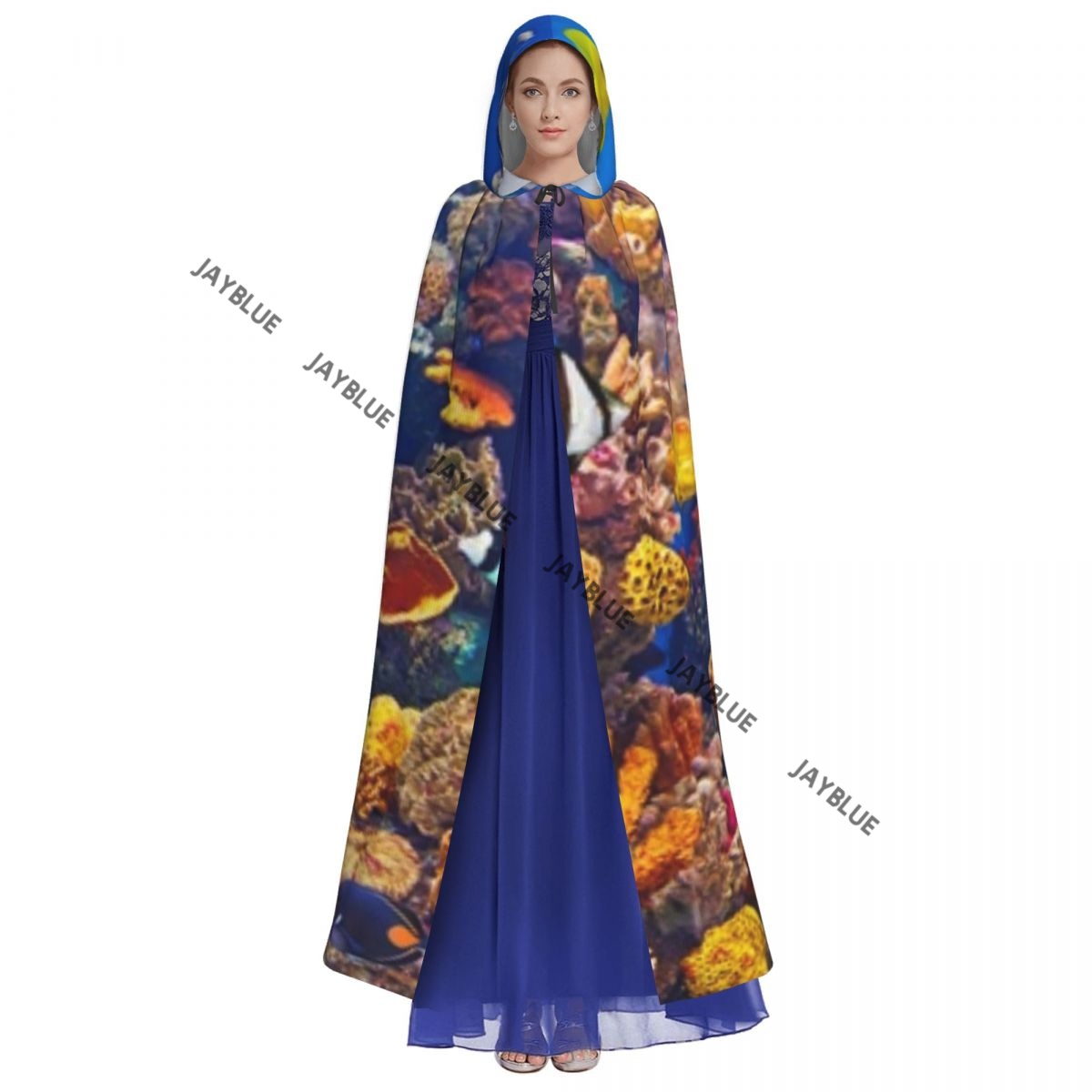 Jubah ikan warna-warni akuariu - Aquarium Queen Fish ulasan dan harga
