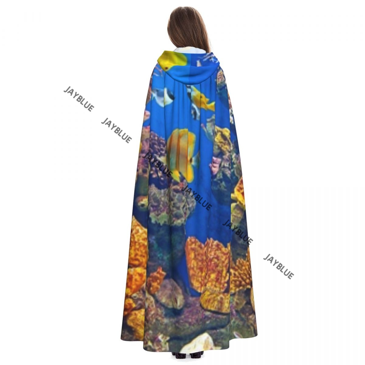 Jubah ikan warna-warni akuariu - Aquarium Queen Fish ulasan dan harga