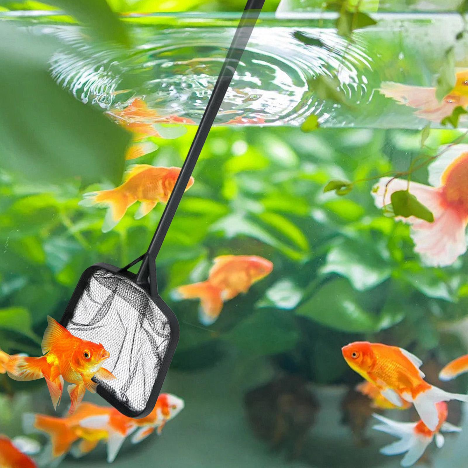 Jaring Kolam Renang untuk Memb - Aquarium Fish Tank Cleaner ulasan dan harga