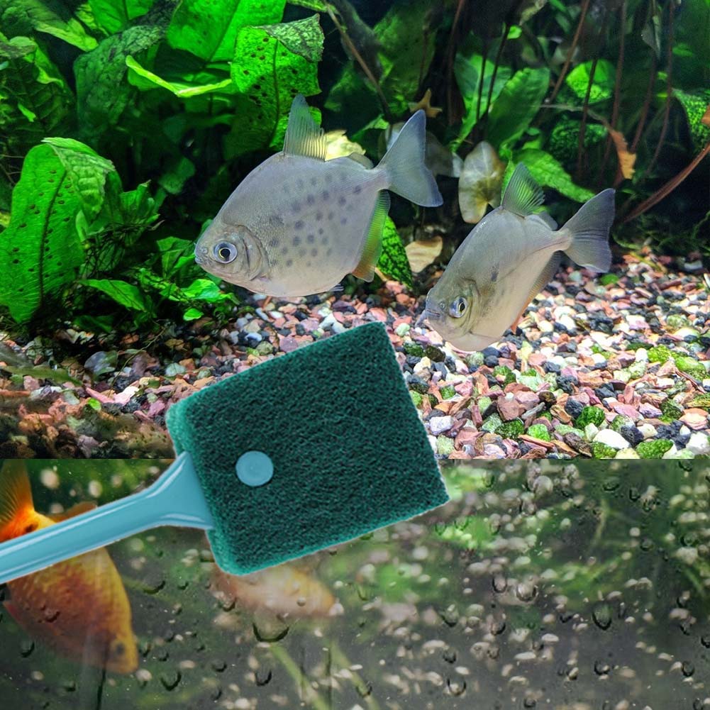 Pembersih Spons Akuarium Dua S - Aquarium Fish Tank Cleaner ulasan dan harga