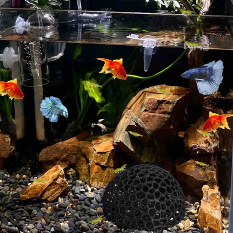 Sudut Gua Penampungan untuk De - Aquarium Fish Beautiful ulasan dan harga