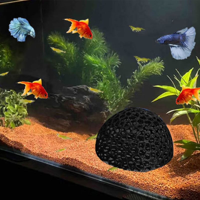Sudut Gua Penampungan untuk De - Aquarium Fish Beautiful ulasan dan harga