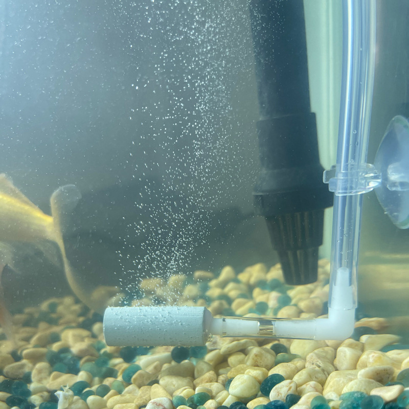 Regulator Sistem CO2 Tingkat l - Aquarium Fish Rate ulasan dan harga