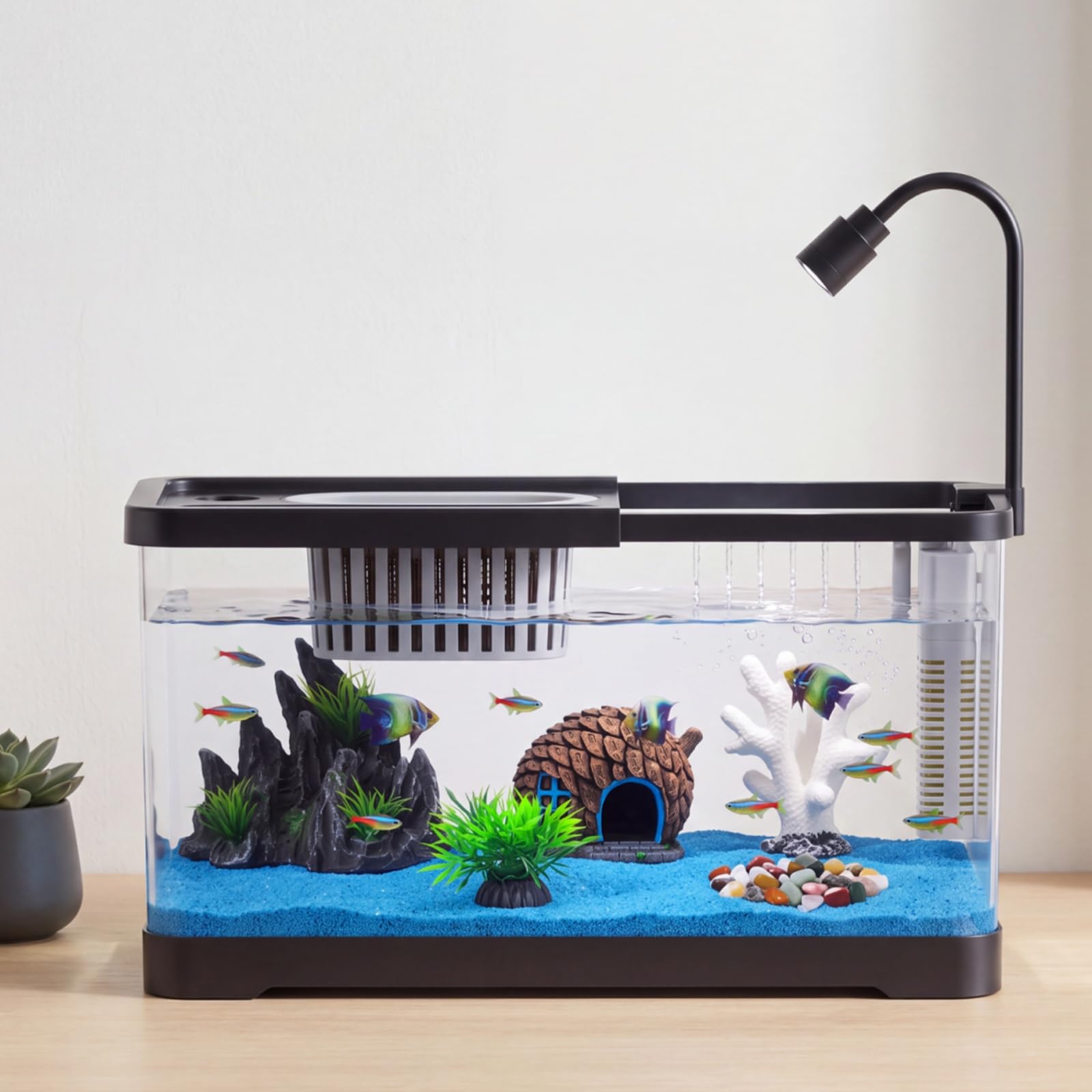 Kit Pemula Akuarium Ikan Denga - Aquarium Fish Betta ulasan dan harga