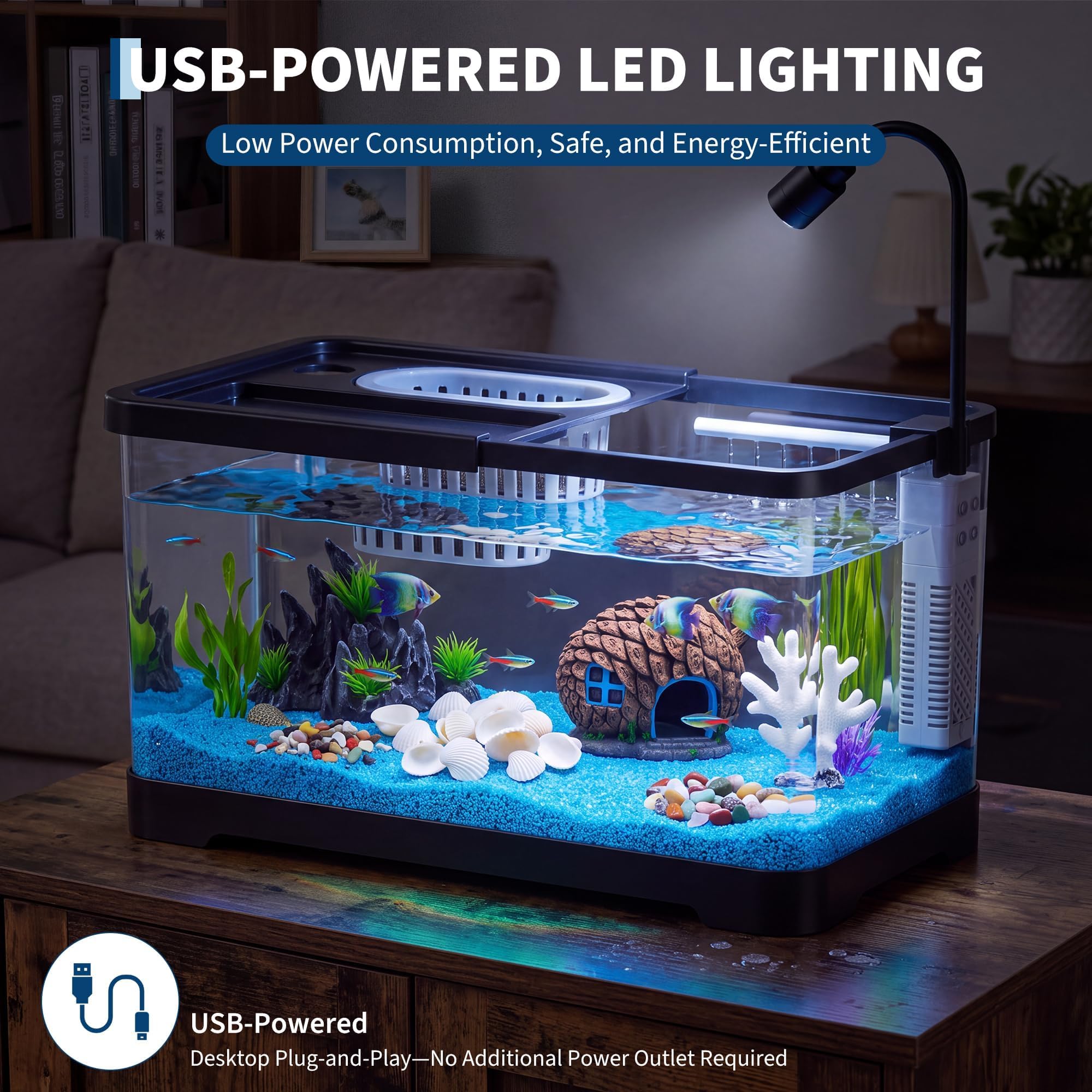 Kit Pemula Akuarium Ikan Denga - Aquarium Fish Betta ulasan dan harga