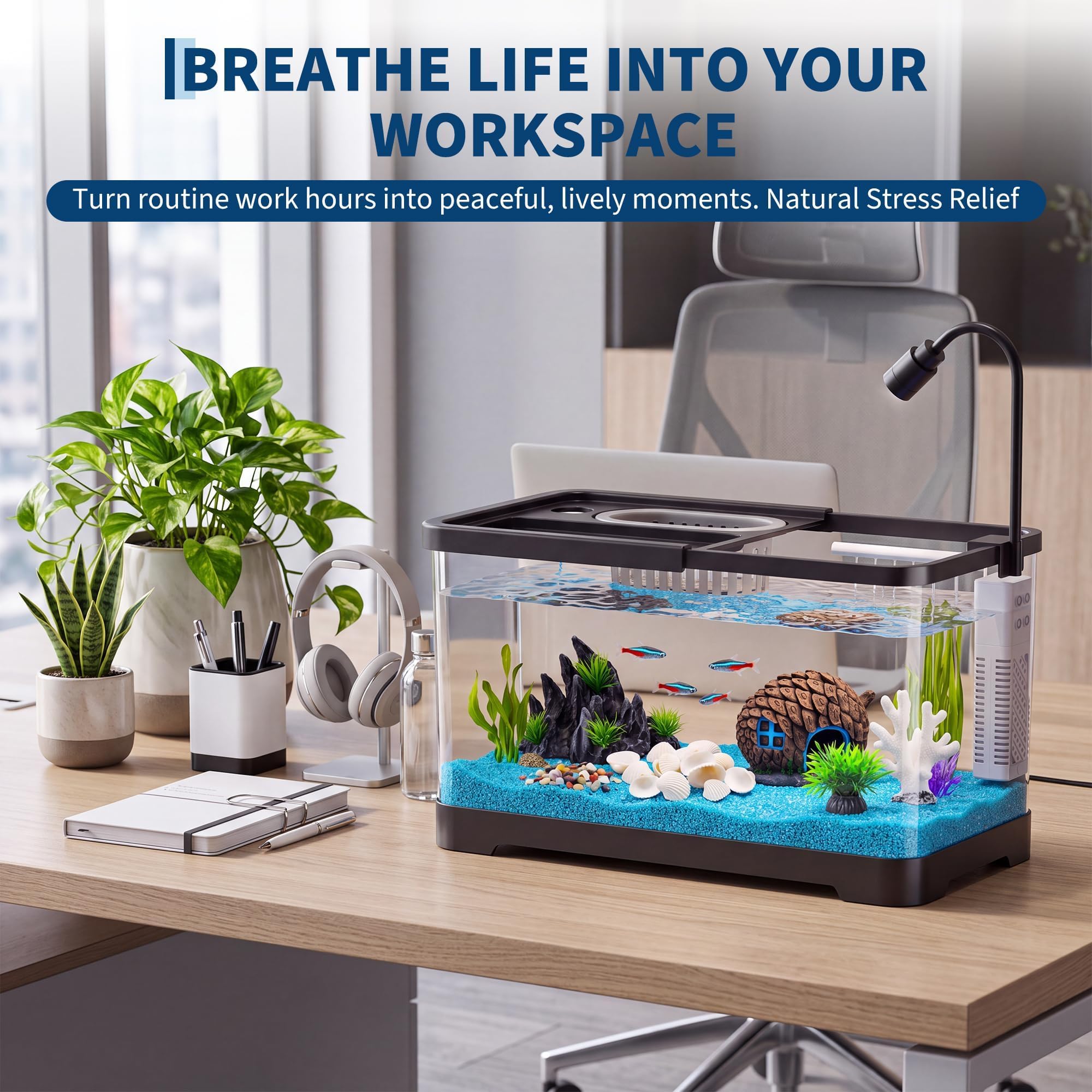 Kit Pemula Akuarium Ikan Denga - Aquarium Fish Betta ulasan dan harga