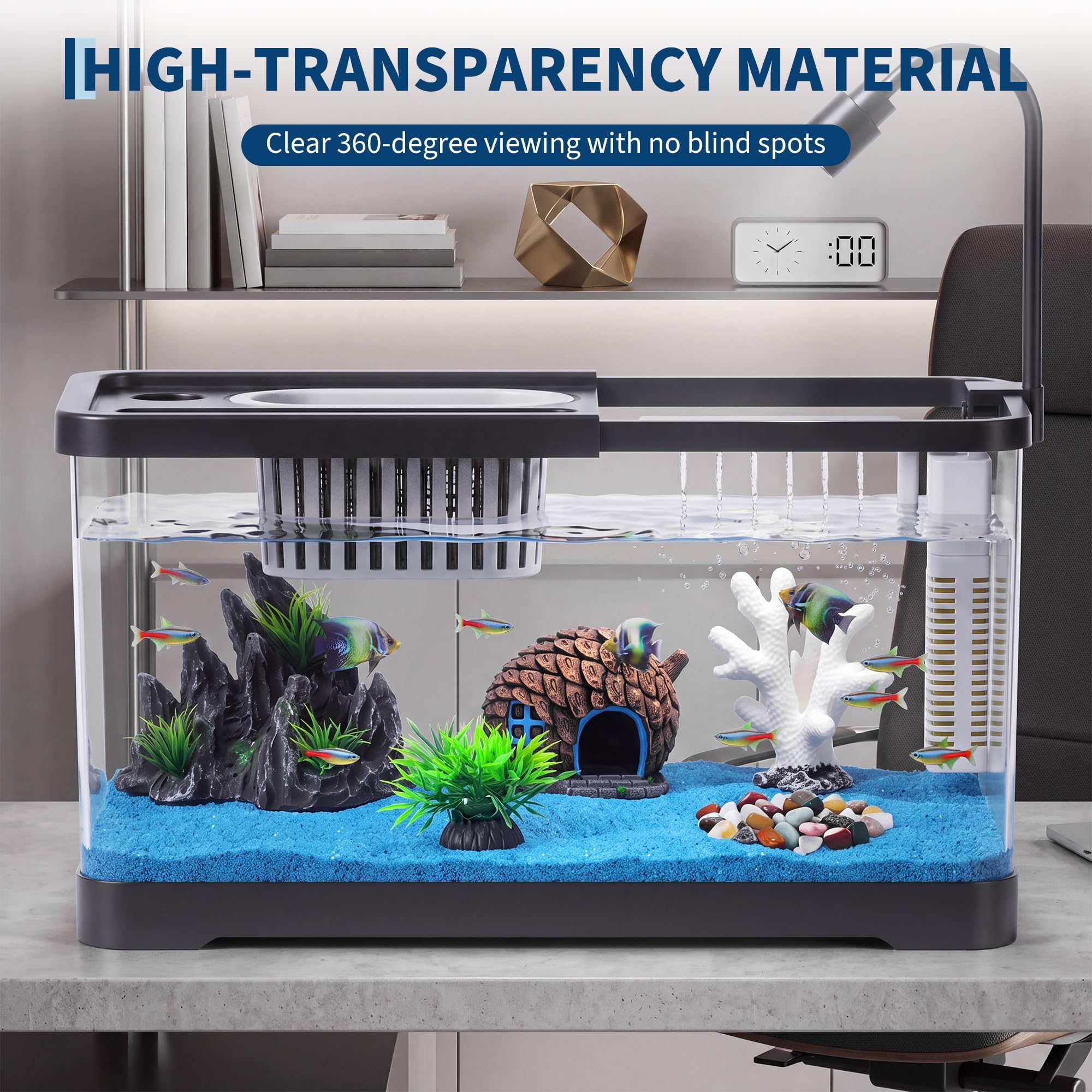 Kit Pemula Akuarium Ikan Denga - Aquarium Fish Betta ulasan dan harga
