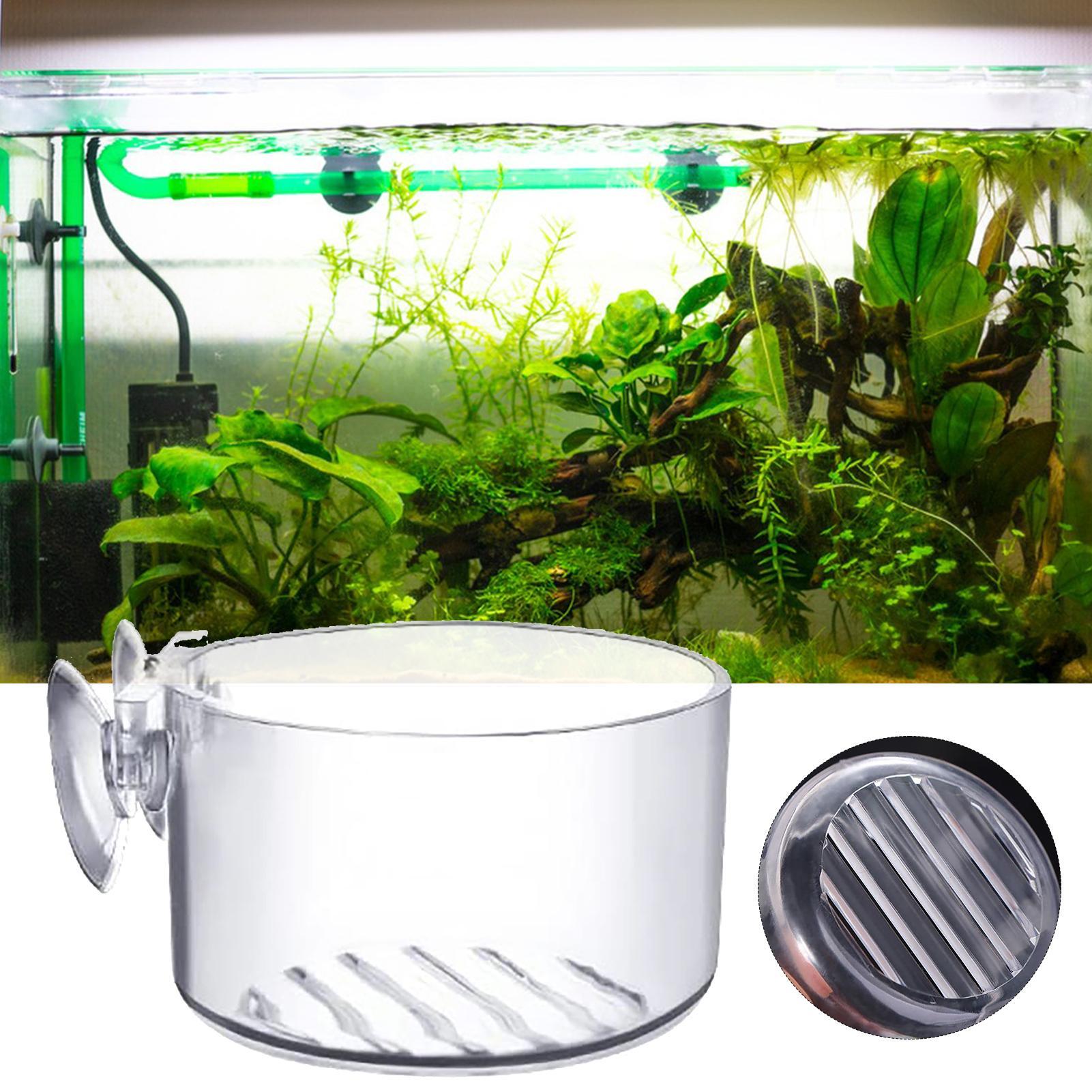 Pot Tanaman Hias Akuarium Akri - Aquarium Fish Beautiful ulasan dan harga