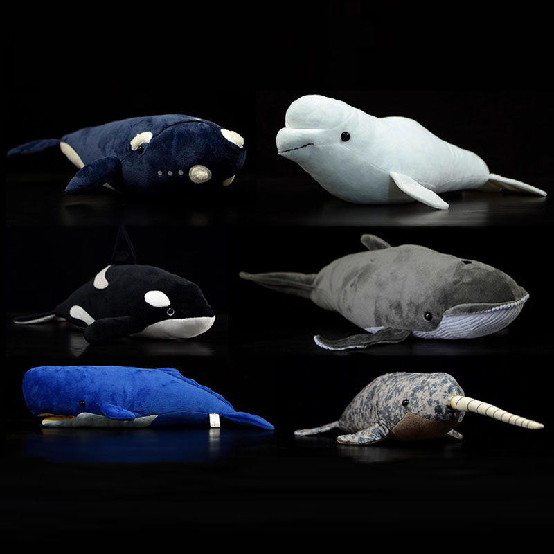 Boneka Hewan Laut Simulasi: Pa - Wild Aquarium Fish ulasan dan harga