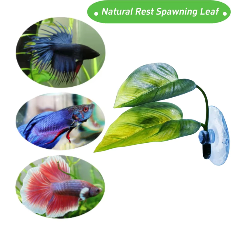 Perlengkapan Hiasan Akuarium,  - Aquarium Fish Betta ulasan dan harga