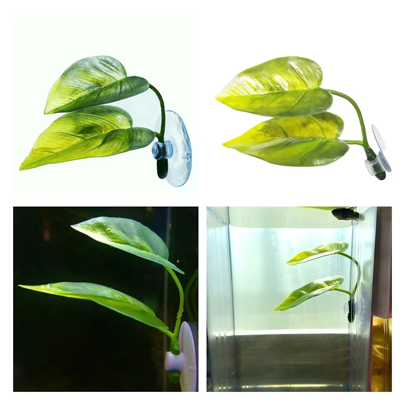 Perlengkapan Hiasan Akuarium,  - Aquarium Fish Betta ulasan dan harga