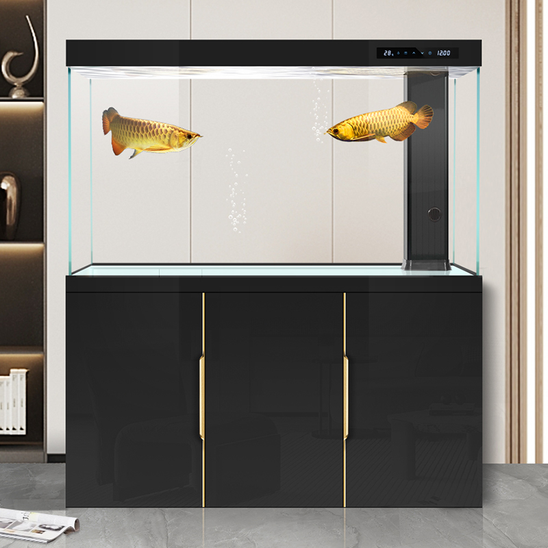Akuarium ruang tamu 2025 kaca  - Aquarium Fish Dragon ulasan dan harga