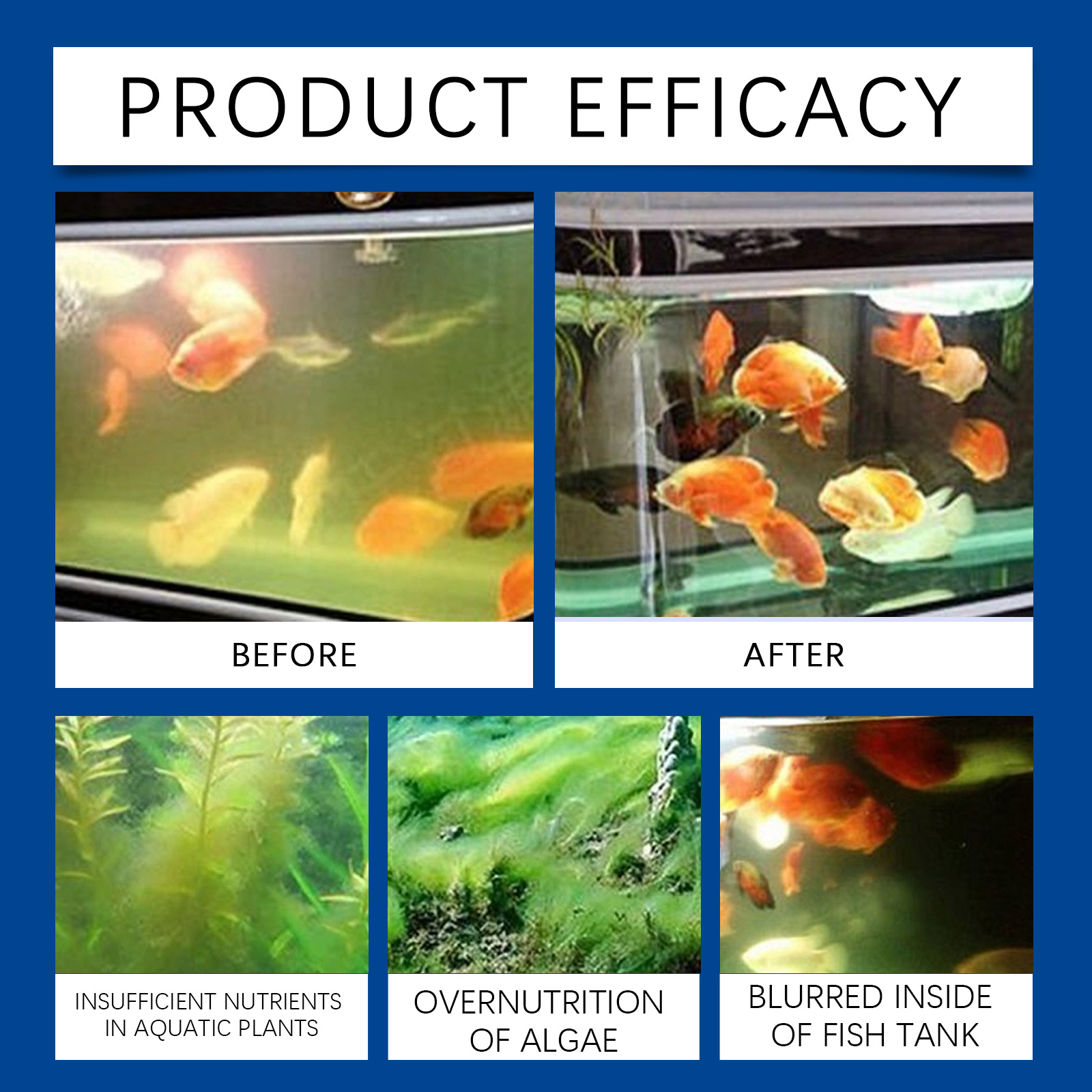 Klarifikasi Air Akuarium 100Ml - Aquarium Fish Tank Cleaner ulasan dan harga
