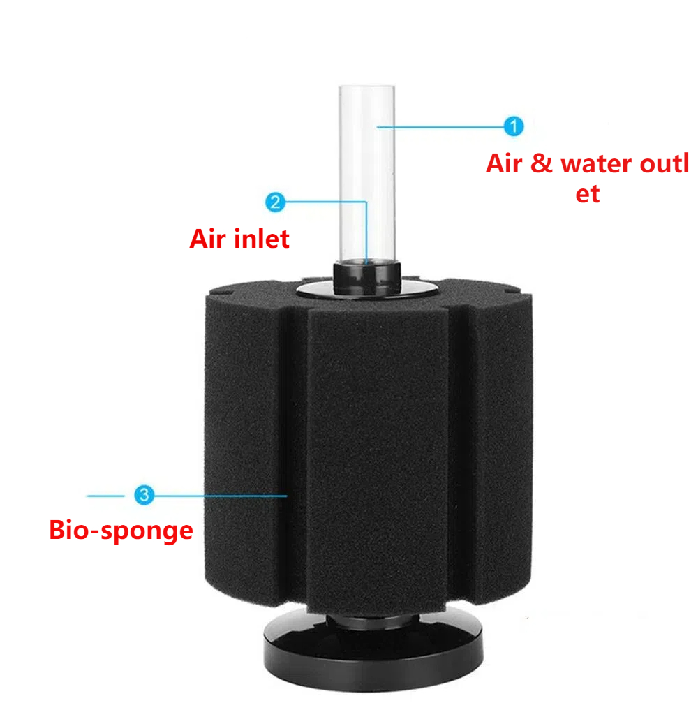Spons Filter akuarium untuk ta - Aquarium Fish Images ulasan dan harga