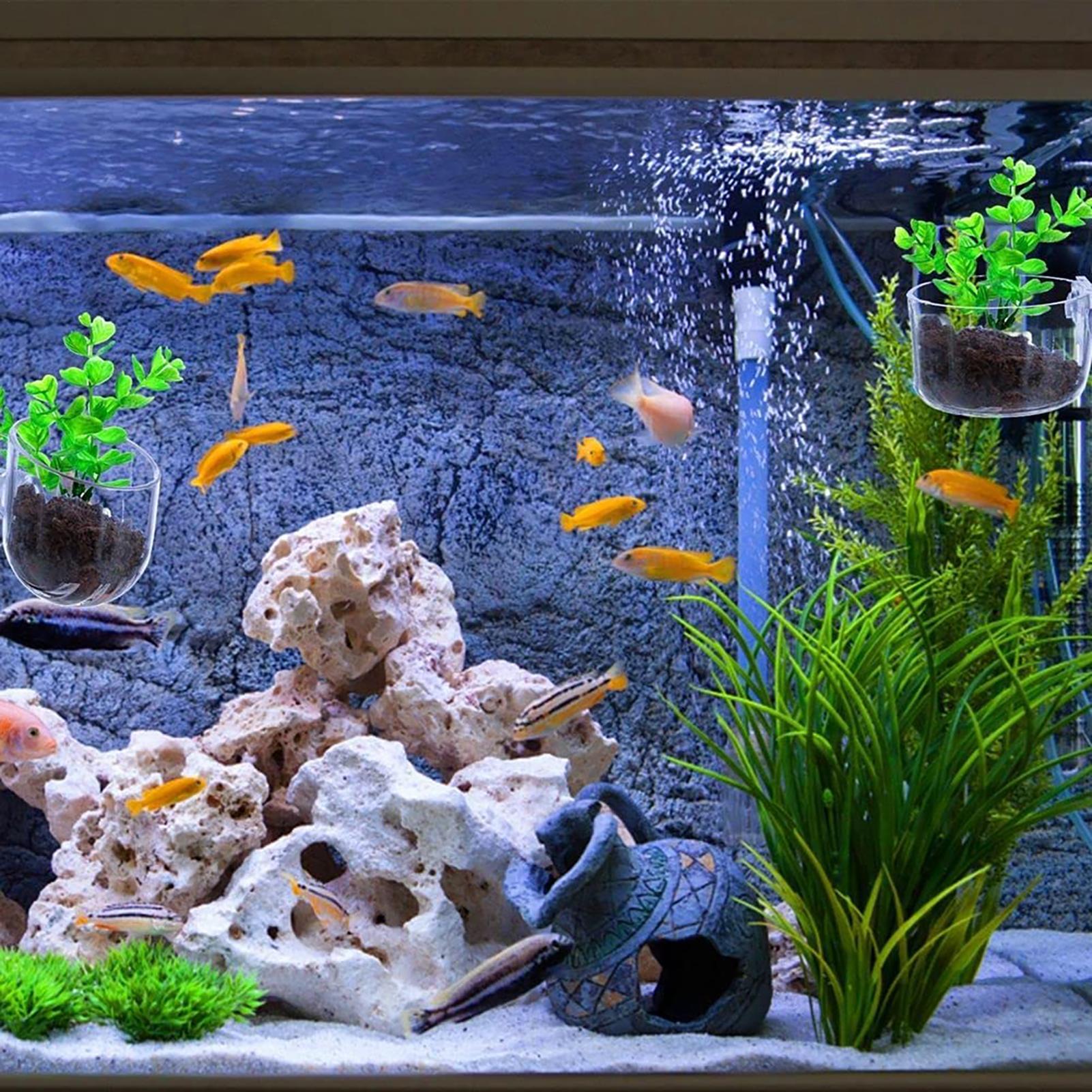 Pot Tanaman Akuarium Akrilik,  - Aquarium Fish Beautiful ulasan dan harga
