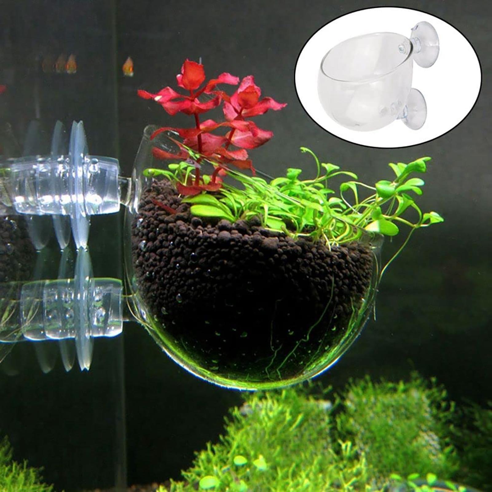 Pot Tanaman Akuarium Akrilik,  - Aquarium Fish Beautiful ulasan dan harga