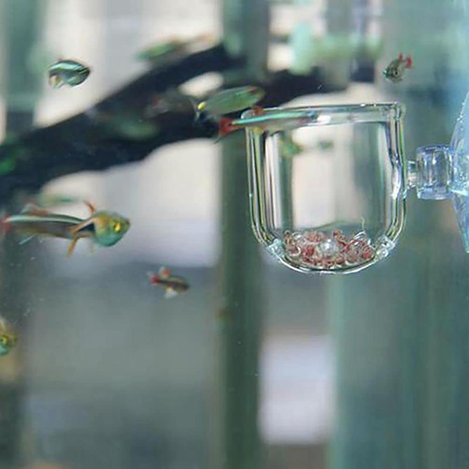 Pot Tanaman Akuarium Akrilik,  - Aquarium Fish Beautiful ulasan dan harga