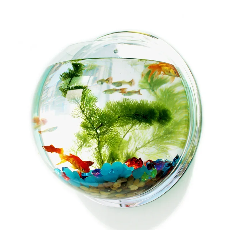 Pinsjar Akrilik Mangkuk Ikan H - Aquarium Fish Betta ulasan dan harga