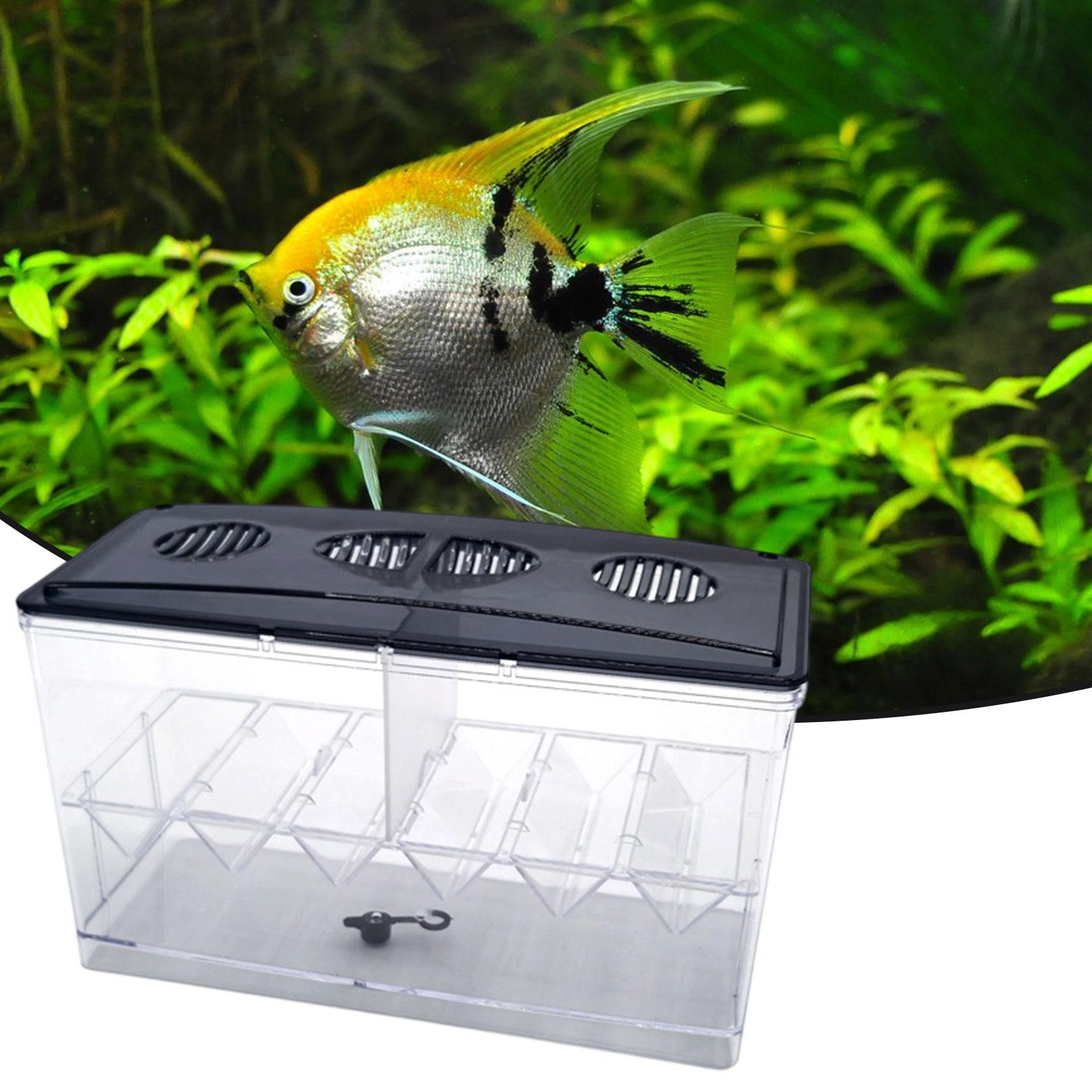 Kotak Isolasi Pembiakan Ikan M - Aquarium Fish Tank Cleaner ulasan dan harga