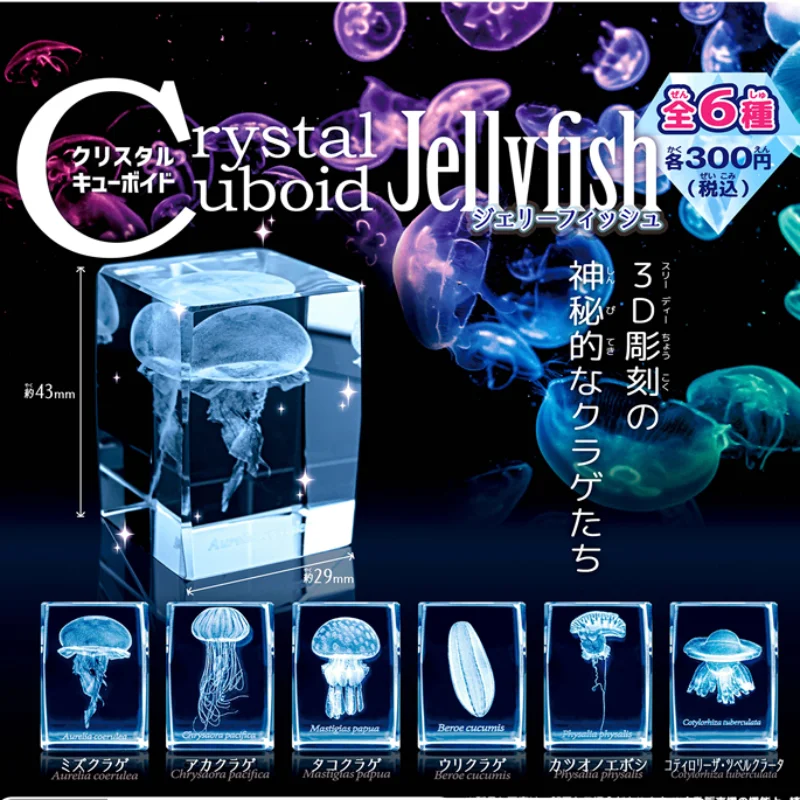 Jepang Gashapon ubur-ubur 3D k - Aquarium Fish Japan ulasan dan harga