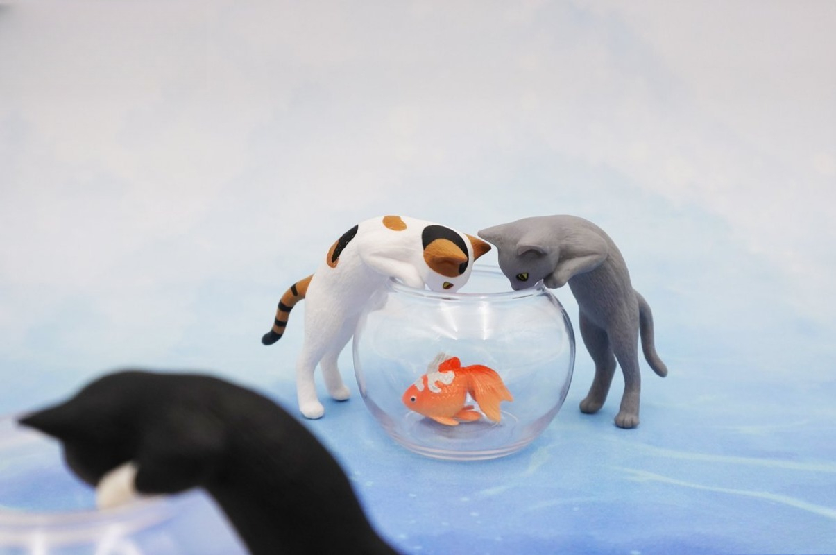 Mainan Kapsul Asli Lucu Kawaii - Aquarium Fish Japan ulasan dan harga
