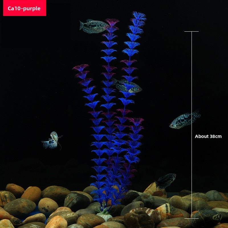 Tanaman Akuarium Buatan Tinggi - Xl Aquarium Fish ulasan dan harga