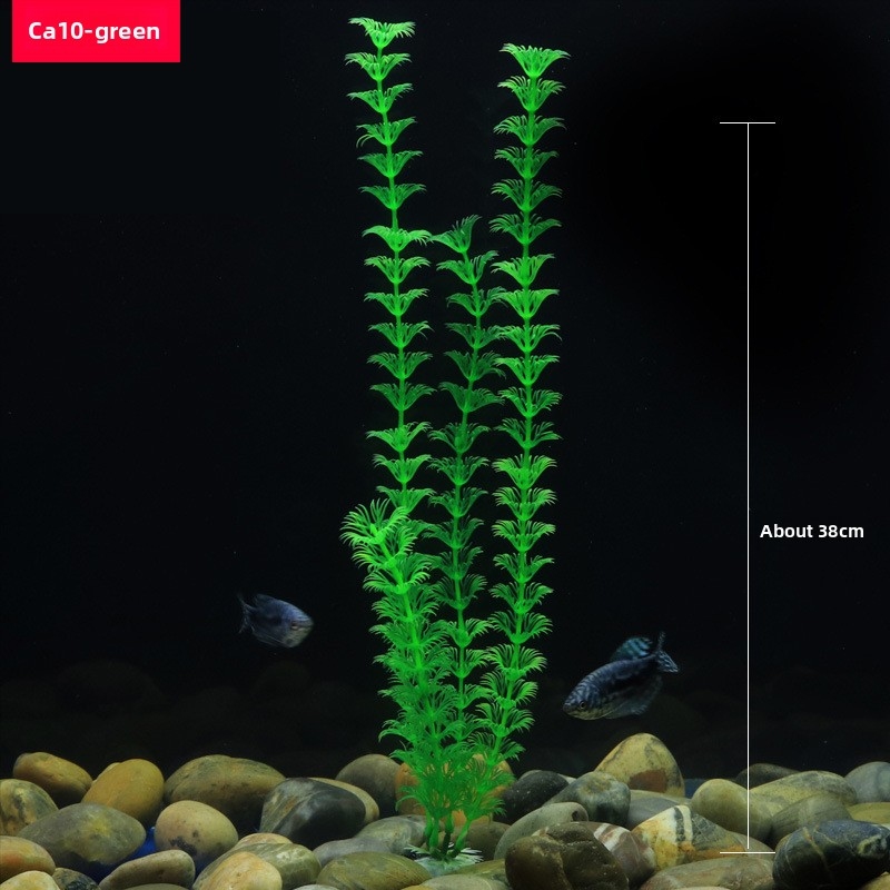 Tanaman Akuarium Buatan Tinggi - Xl Aquarium Fish ulasan dan harga