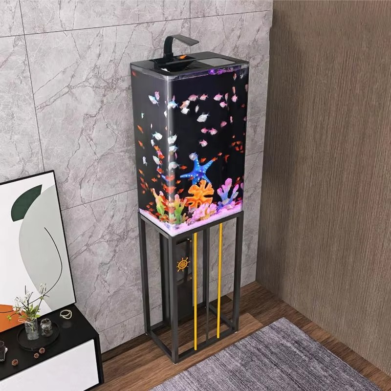 Akuarium Akrilik 2026 Ukuran B - Aquarium Fish Beautiful ulasan dan harga