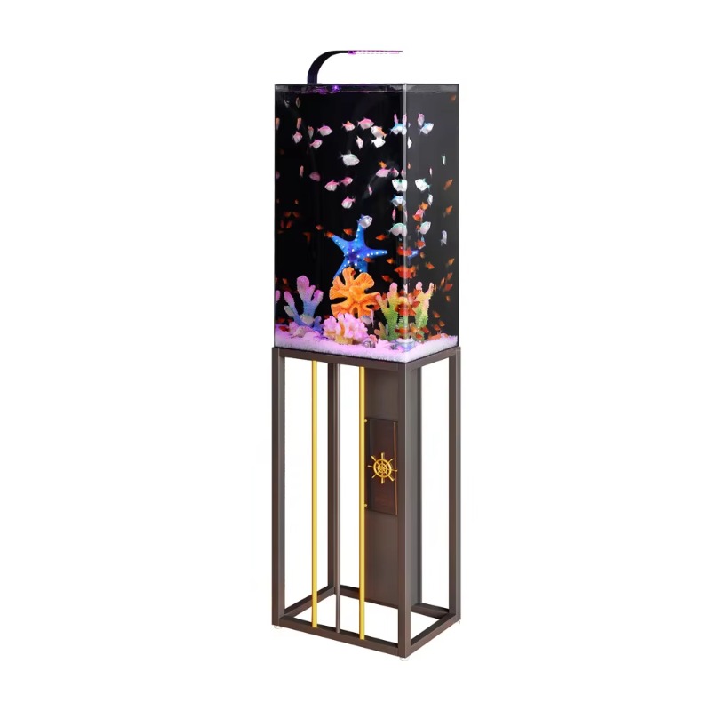 Akuarium Akrilik 2026 Ukuran B - Aquarium Fish Beautiful ulasan dan harga