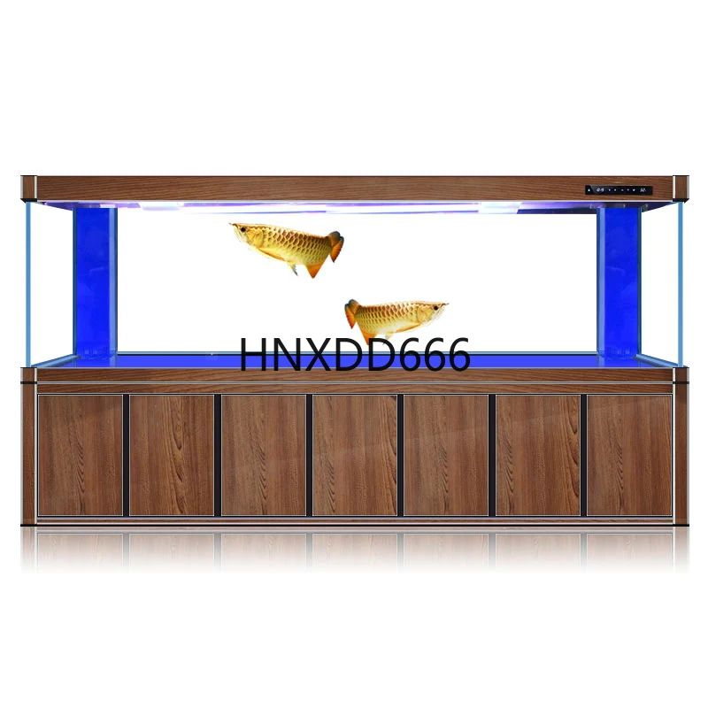 Akuarium ikan naga emas besar, - Aquarium Fish Dragon ulasan dan harga