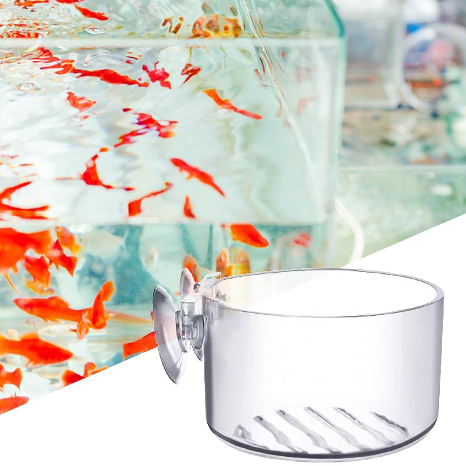 Penyangga Tanaman Akuarium Akr - Aquarium Fish Beautiful ulasan dan harga