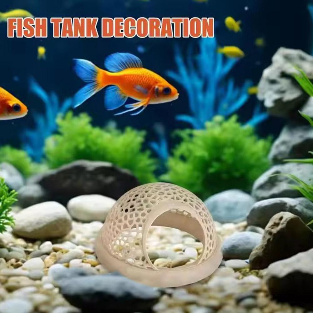Tempat Persembunyian Ikan Udan - Aquarium Fish Betta ulasan dan harga