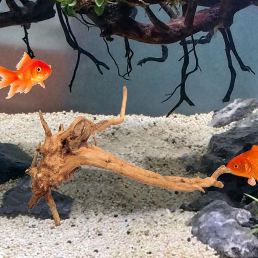 Kayu Apung Akuarium Besar 20-2 - Xl Aquarium Fish ulasan dan harga