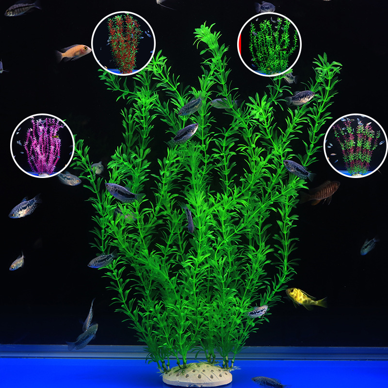 56Cm Simulasi Besar Tanaman Ai - Xl Aquarium Fish ulasan dan harga