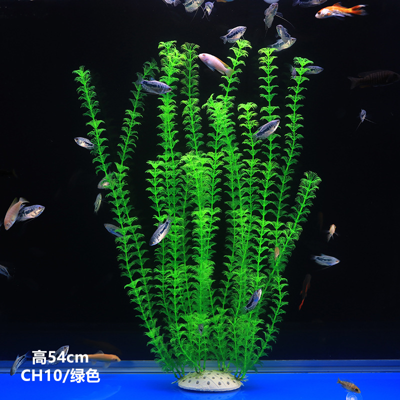 56Cm Simulasi Besar Tanaman Ai - Xl Aquarium Fish ulasan dan harga