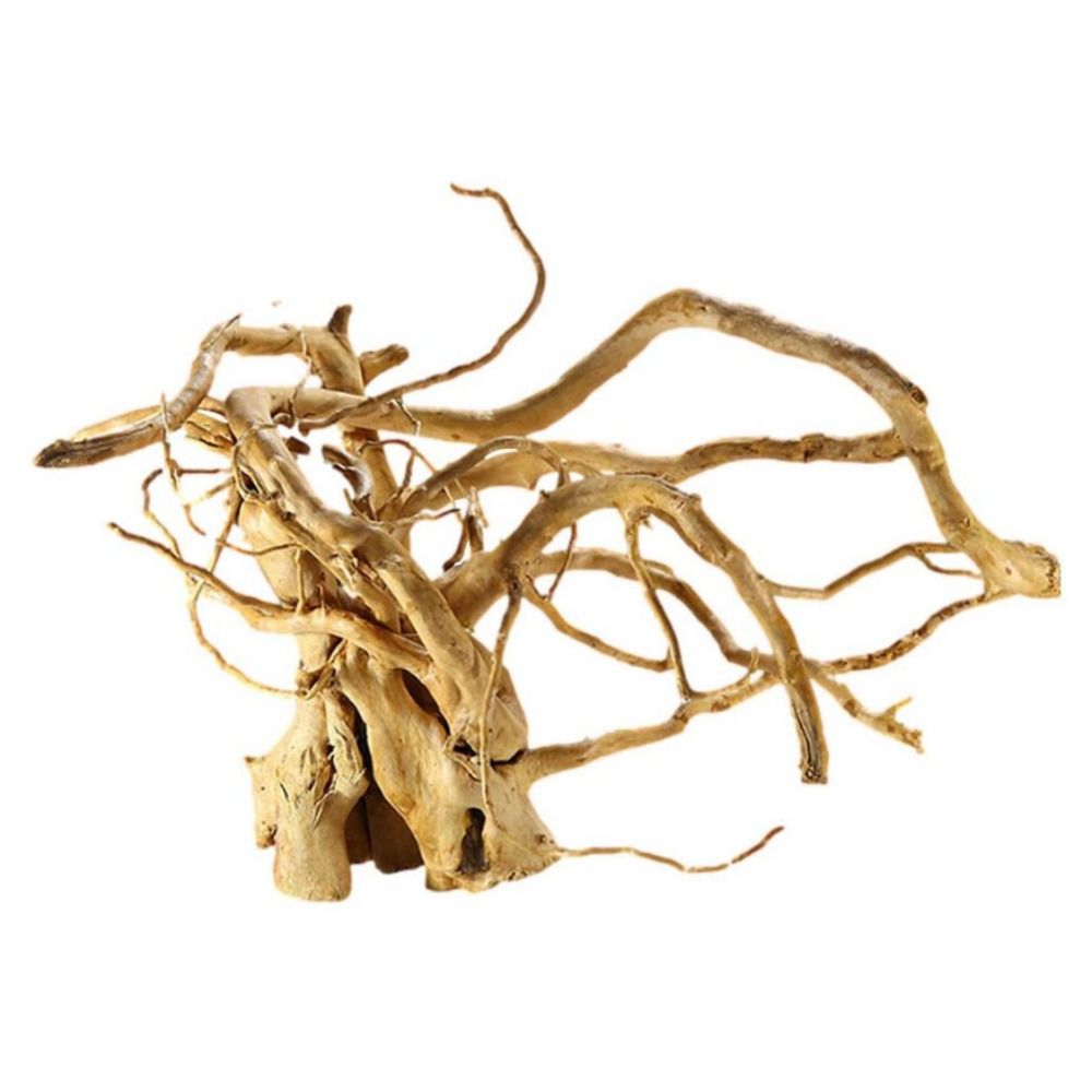 Akuarium Besar Driftwood alami - Xl Aquarium Fish ulasan dan harga