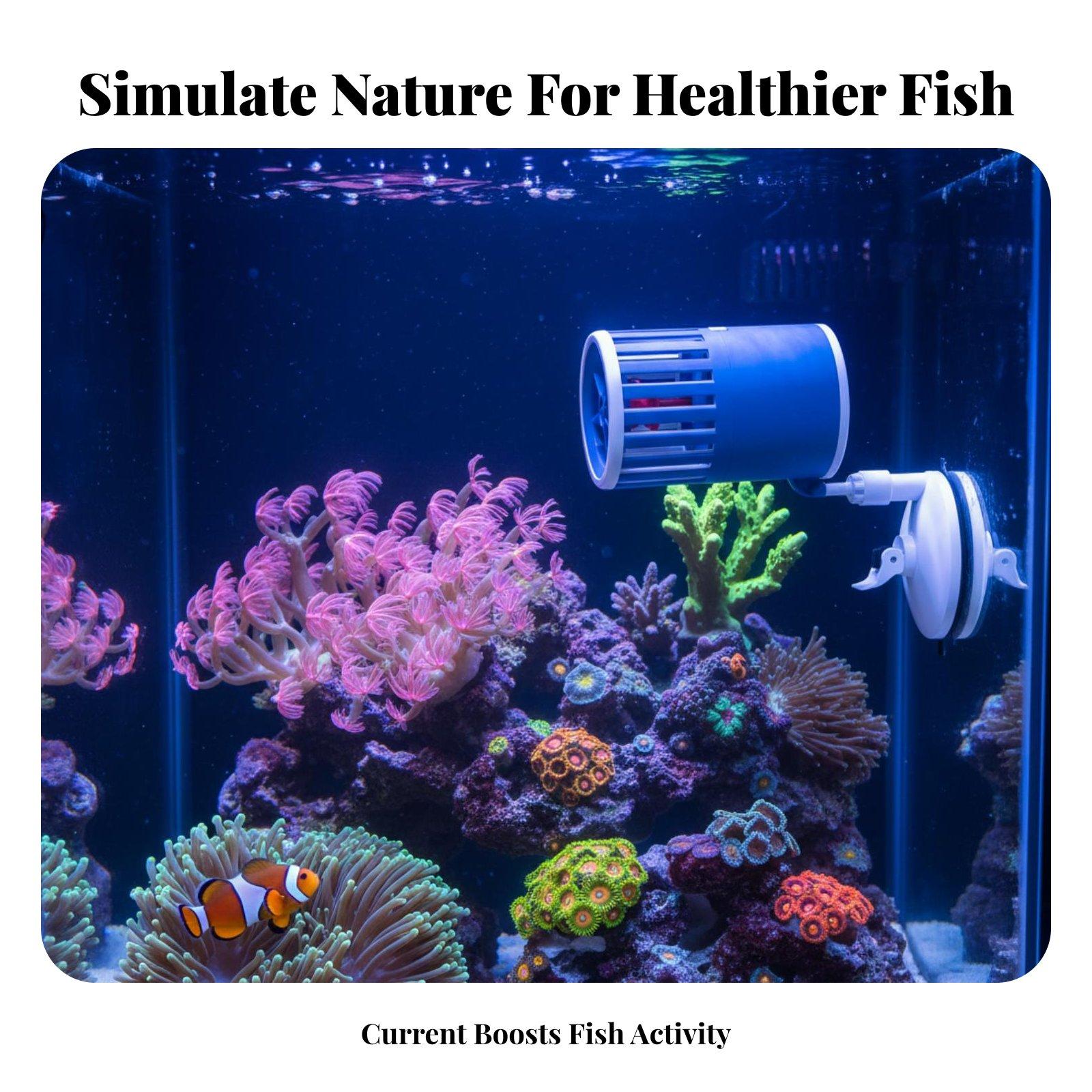 Pompa Sirkulasi Submersible Pe - Aquarium Fish Rate ulasan dan harga
