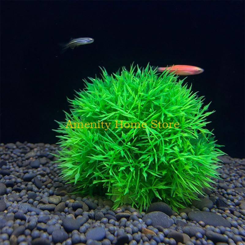 F26C Marimo Buatan Hijau untuk - Aquarium Fish Beautiful ulasan dan harga