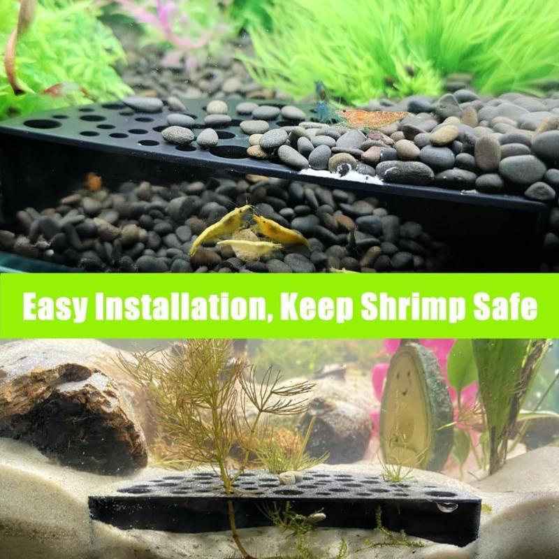 Akuarium Baru dengan Gua Terse - Aquarium Fish Marine ulasan dan harga