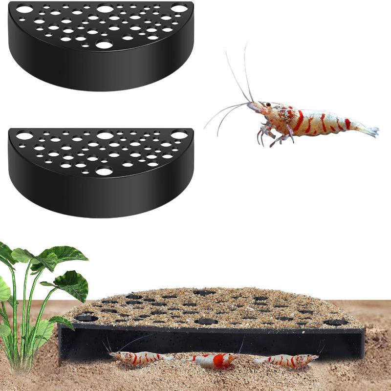 Akuarium Baru dengan Gua Terse - Aquarium Fish Marine ulasan dan harga
